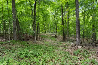 200800 Canopy Lane, Rosholt, WI 54473 - Photo 23