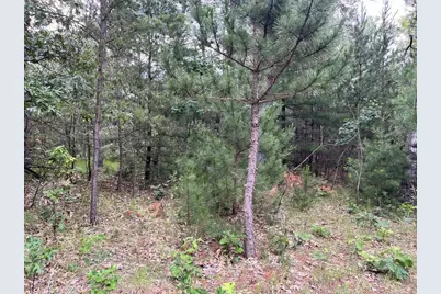 3074 13th Avenue, Springville, WI 53936 - Photo 21