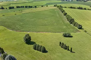 N7795 Panorama Rd, Belleville, WI 53508 - Photo 57