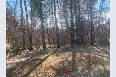 294 Lake Shore Drive, Lake Delton, WI 53965 - Photo 1