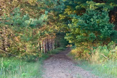 000 17th Drive, Montello, WI 53949 - Photo 15