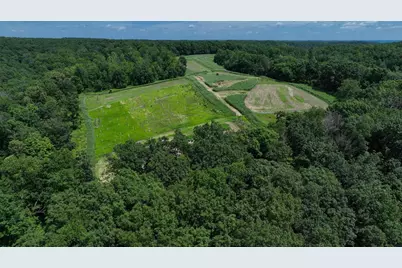 77.85 Ac Pine Avenue, Hillsboro, WI 54634 - Photo 29