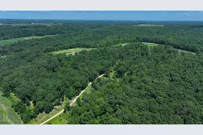 77.85 Ac Pine Avenue, Hillsboro, WI 54634 - Photo 9