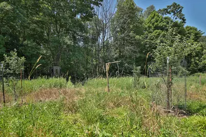 77.85 Ac Pine Avenue, Hillsboro, WI 54634 - Photo 45