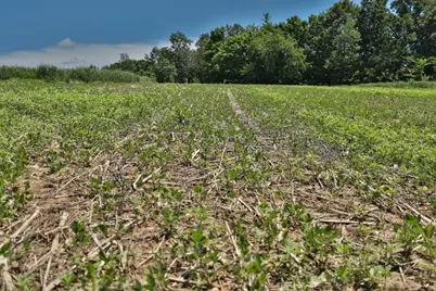 77.85 Ac Pine Avenue, Hillsboro, WI 54634 - Photo 19