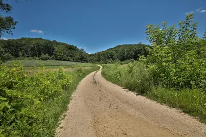 77.85 Ac Pine Avenue, Hillsboro, WI 54634 - Photo 7