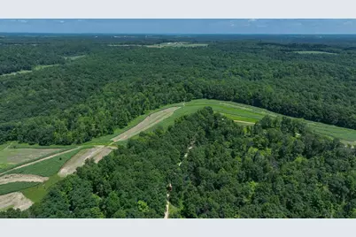 77.85 Ac Pine Avenue, Hillsboro, WI 54634 - Photo 13