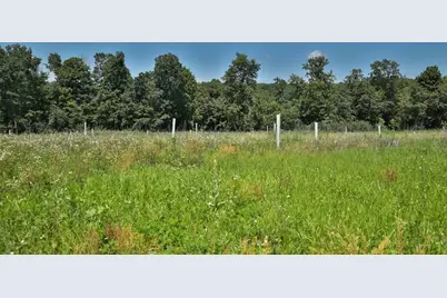 77.85 Ac Pine Avenue, Hillsboro, WI 54634 - Photo 17