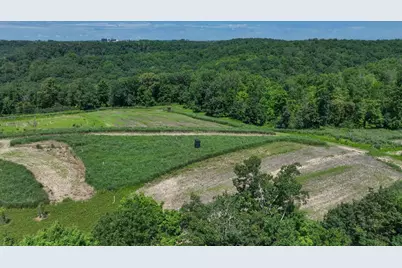 77.85 Ac Pine Avenue, Hillsboro, WI 54634 - Photo 33