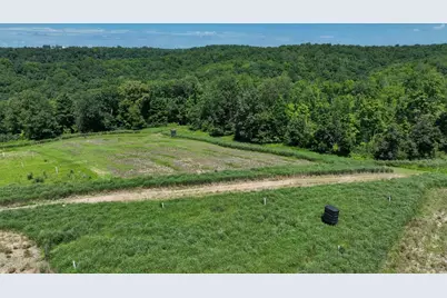 77.85 Ac Pine Avenue, Hillsboro, WI 54634 - Photo 3
