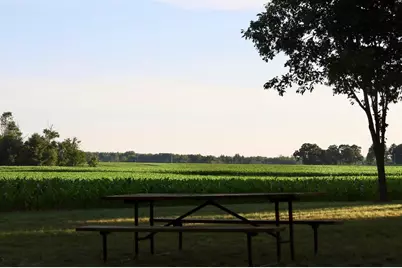 W5587 County Road Z, Westfield, WI 53964 - Photo 67