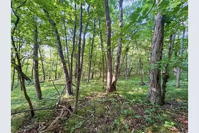 42243 S Knapp Creek Lane, Scott, WI 54631 - Photo 83