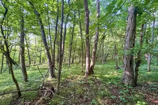 42243 S Knapp Creek Ln, Scott, WI 54631 - Photo 83