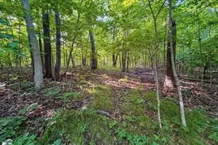 42243 S Knapp Creek Ln, Scott, WI 54631 - Photo 77