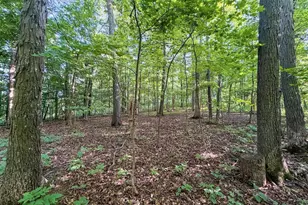 42243 S Knapp Creek Ln, Scott, WI 54631 - Photo 81