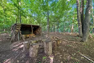42243 S Knapp Creek Ln, Scott, WI 54631 - Photo 79