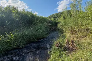42243 S Knapp Creek Ln, Scott, WI 54631 - Photo 67