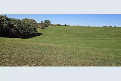 46.322 Acres Norwegian Hollow Road, Ridgeville, WI 53533 - Photo 19