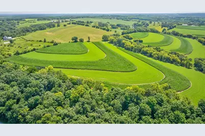 46.322 Acres Norwegian Hollow Road, Ridgeville, WI 53533 - Photo 11