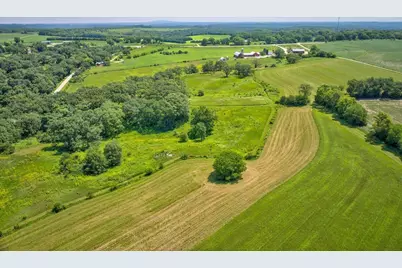 46.322 Acres Norwegian Hollow Road, Ridgeville, WI 53533 - Photo 15