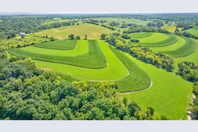 46.322 Acres Norwegian Hollow Road, Ridgeville, WI 53533 - Photo 13