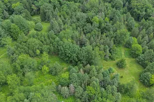 N8720 County Rd CX, Portage, WI 53901 - Photo 57