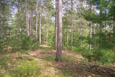 Lot 23 Dover Drive, Friendship, WI 53934 - Photo 7
