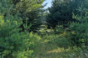 309 Ember Ct Rd, Oxford, WI 53952 - Photo 61
