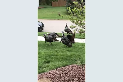 3703 Skyview Drive, Janesville, WI 53546 - Photo 35