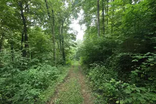 23353 Hwy 61, Boscobel, WI 53805 - Photo 37