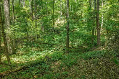 S182 State Road 33 Road, Wonewoc, WI 53968 - Photo 53