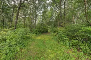 N9701 E Bay Dr, Necedah, WI 54646 - Photo 53