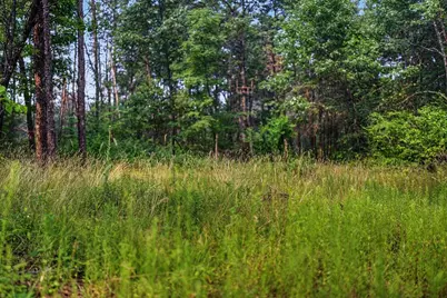 N9701 E Bay Drive, Necedah, WI 54646 - Photo 57