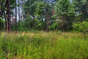 N9701 E Bay Dr, Necedah, WI 54646 - Photo 57