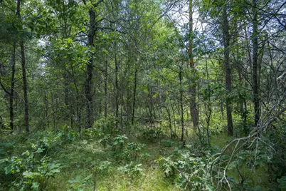 Lot 5 17th Street, Necedah, WI 54646 - Photo 5