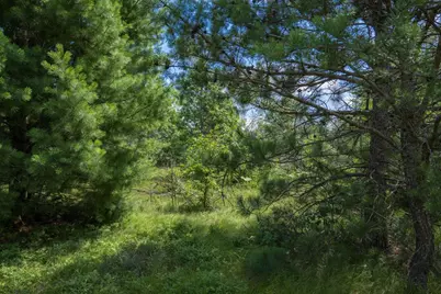 Lot 5 17th Street, Necedah, WI 54646 - Photo 15