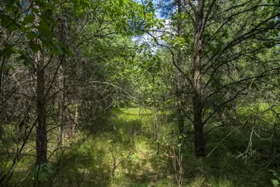 Lot 5 17th Street, Necedah, WI 54646 - Photo 17