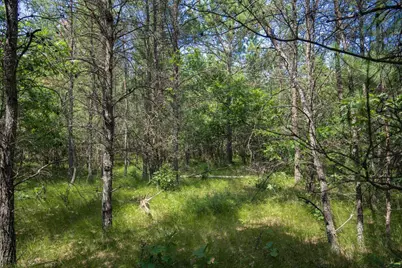 Lot 5 17th Street, Necedah, WI 54646 - Photo 3