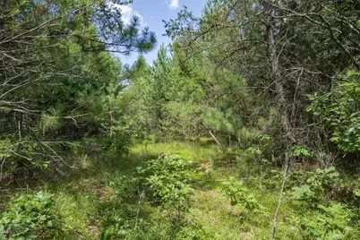Lot 5 17th Street, Necedah, WI 54646 - Photo 33