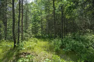 Lot 5 17th St, Necedah, WI 54646 - Photo 1