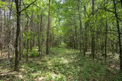 Lot 5 17th Street, Necedah, WI 54646 - Photo 35
