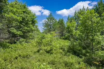Lot 5 17th Street, Necedah, WI 54646 - Photo 23