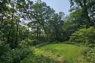 65864 Chandler Rd, Freeman, WI 54624 - Photo 1