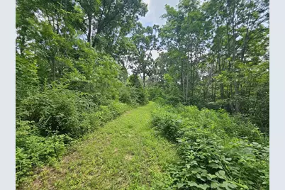 65864 Chandler Road, Freeman, WI 54624 - Photo 9