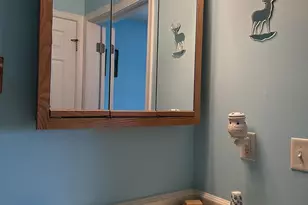 911 Herriot Dr, Mauston, WI 53948 - Photo 11