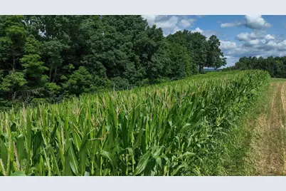 S4703 Aumock Road, La Farge, WI 54639 - Photo 69