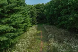 31380A Happy Hollow East Rd, Cazenovia, WI 53924 - Photo 59