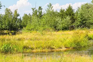 7218 Cty Road Hh, Vesper, WI 54489 - Photo 57