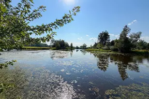 7218 Cty Road Hh, Vesper, WI 54489 - Photo 89