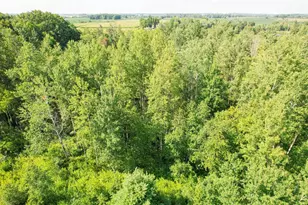 7218 Cty Road Hh, Vesper, WI 54489 - Photo 27